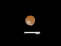 瑪瑙珠藏品圖，第3張