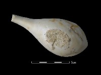 湯匙藏品圖，第3張