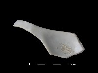 湯匙藏品圖，第2張