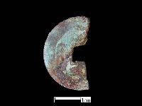 銅錢藏品圖，第1張