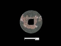 銅錢藏品圖，第2張