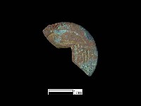 銅錢藏品圖，第1張