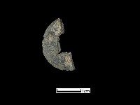 銅錢藏品圖，第2張