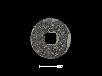 銅錢藏品圖，第2張