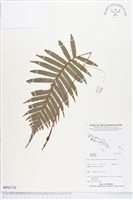 登錄號:BP01735藏品圖，第1張