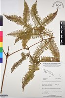 登錄號:BP03085藏品圖，第1張