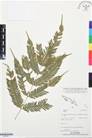 登錄號:BP03507藏品圖，第1張