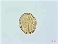 登錄號:BS02365藏品圖，第4張