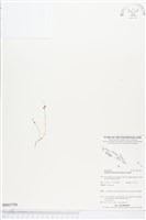 登錄號:BS03759藏品圖，第1張