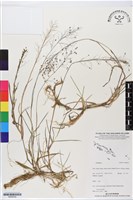 登錄號:BS06320藏品圖，第1張