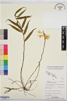 登錄號:BS07607藏品圖，第1張