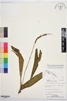 登錄號:BS07668藏品圖，第1張