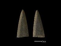 矛鏃形器藏品圖，第1張