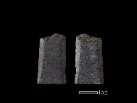 矛鏃形器藏品圖，第1張