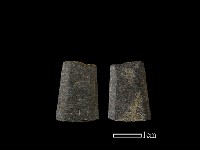 矛鏃形器藏品圖，第1張