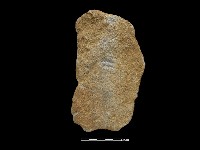 斧鋤形器藏品圖，第2張