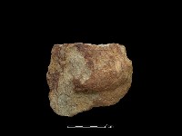 斧鋤形器藏品圖，第2張