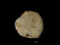 石片器藏品圖，第1張