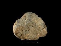 石片器藏品圖，第2張