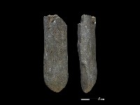 間接打擊棒藏品圖，第1張