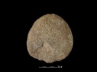 砍砸器藏品圖，第2張