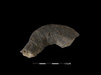 陶把藏品圖，第1張