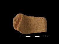 陶把藏品圖，第1張