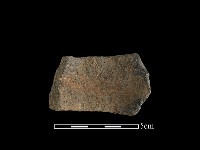 陶把藏品圖，第2張