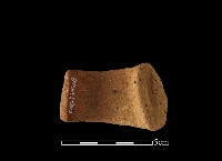 陶把藏品圖，第2張