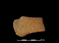 陶把藏品圖，第1張