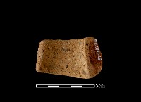 陶把藏品圖，第1張