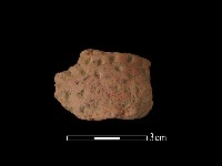 陶把藏品圖，第1張