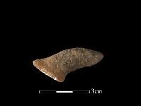 陶把藏品圖，第1張