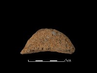 陶把藏品圖，第2張