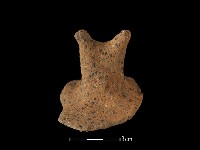 陶蓋鈕藏品圖，第1張