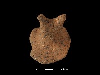 陶蓋鈕藏品圖，第3張