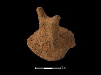 陶蓋鈕藏品圖，第4張