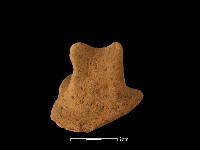 陶蓋鈕藏品圖，第3張