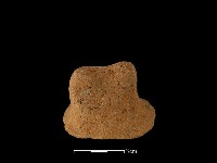 陶蓋鈕藏品圖，第1張