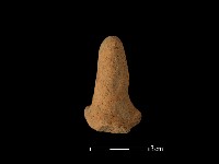 陶蓋鈕藏品圖，第1張