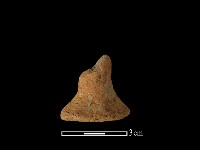 陶蓋鈕藏品圖，第2張