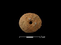 紡輪藏品圖，第2張