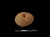 紡輪藏品圖，第3張