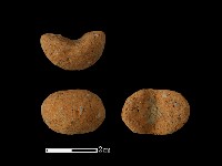 紡輪藏品圖，第1張