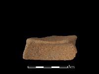 陶片藏品圖，第2張