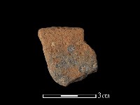 陶片藏品圖，第1張