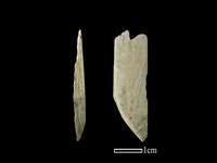 錛鑿形器藏品圖，第1張