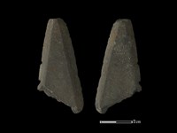 矛鏃形器藏品圖，第1張