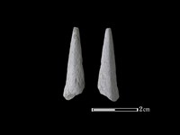 矛鏃形器藏品圖，第1張