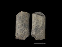 矛鏃形器藏品圖，第1張